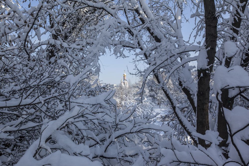 Photograph by Михаил Строев