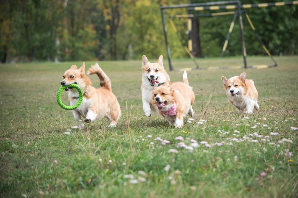 Photograph by Наталья Сорокина