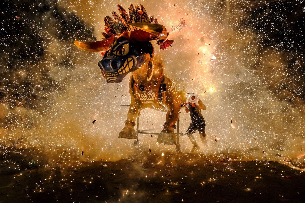 El joven carreando al toro