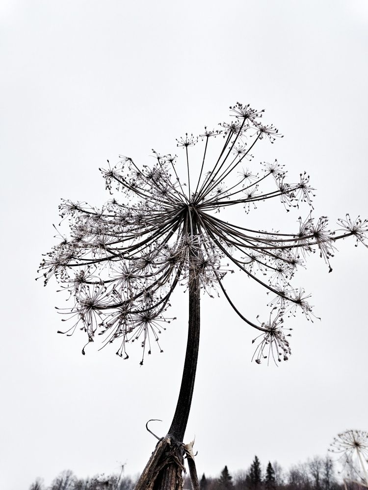 Фотография автора Ольга Кунакова