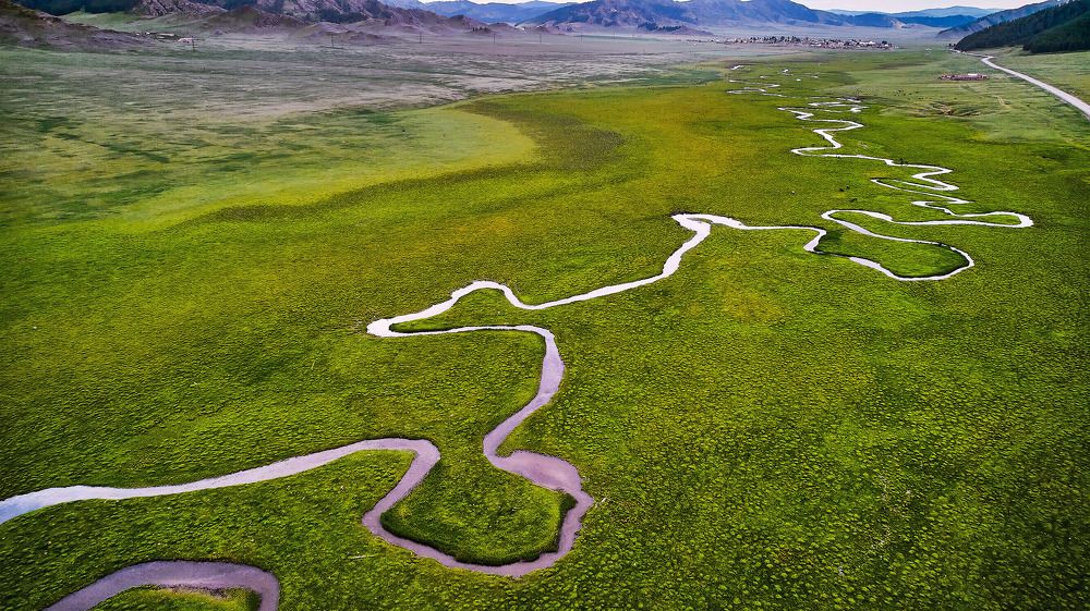 Фотография автора Totoro