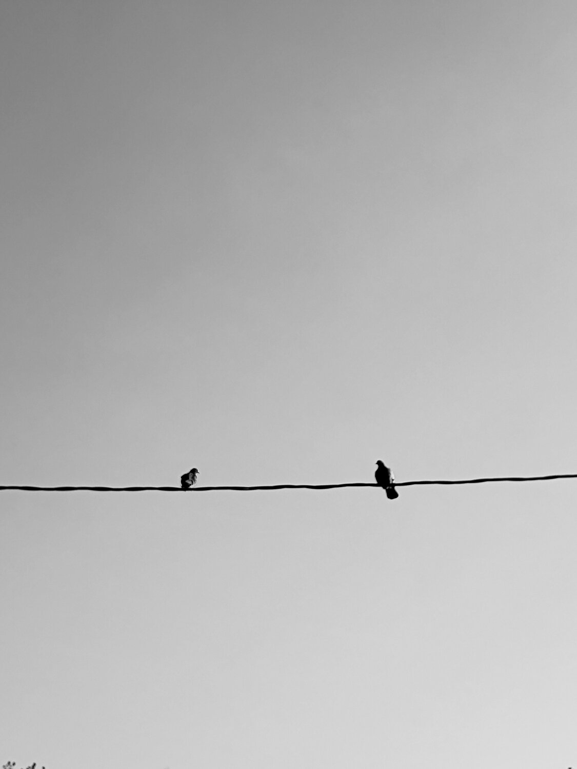 Photo #11676139