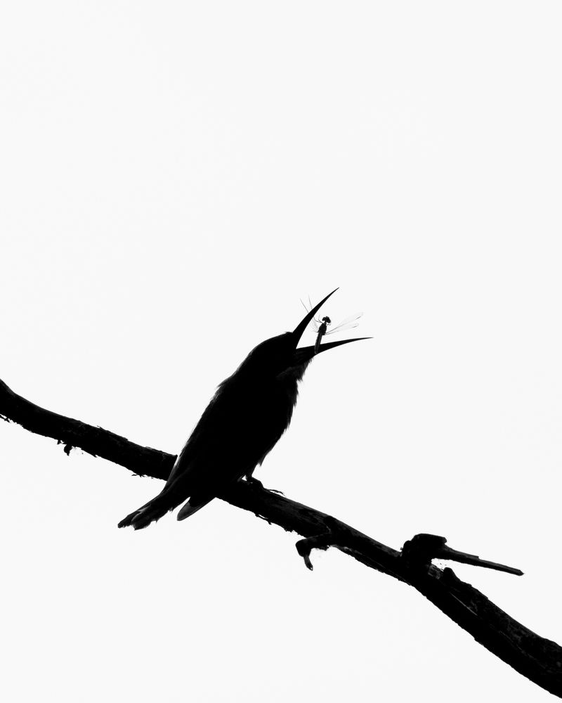 Фотография автора Anandhu M