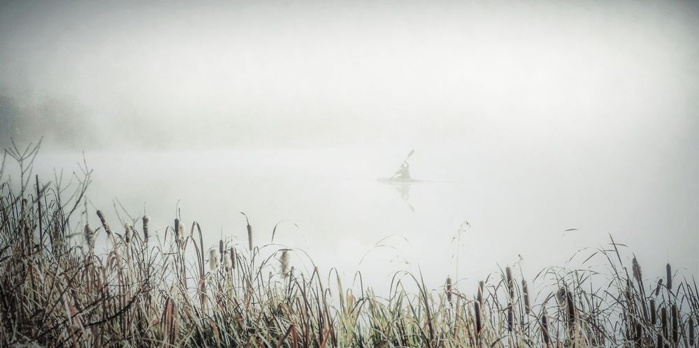 Photograph by Svetlana Gubanova