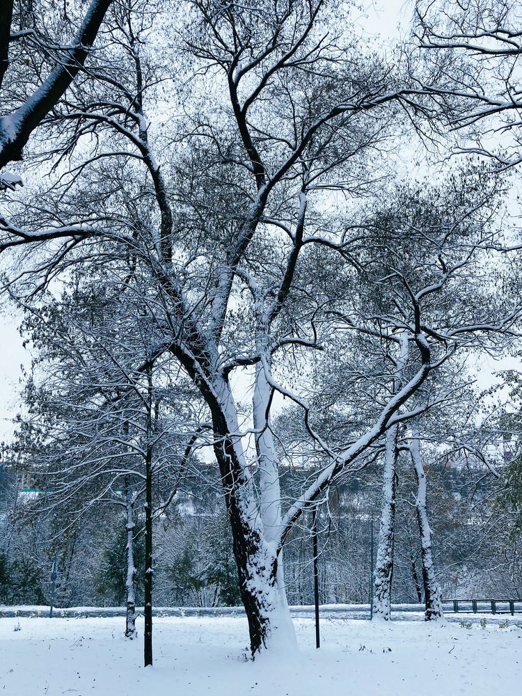 Фотография автора Сергей Демидов