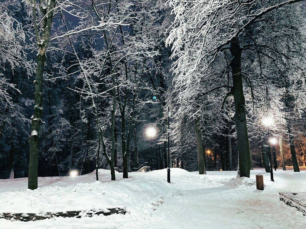 Фотография автора Сергей Демидов