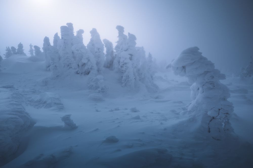 Photograph by Силантьев Даниил