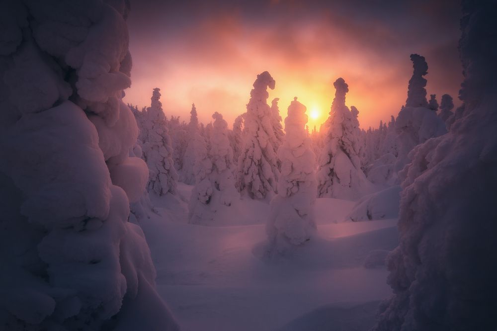 Photograph by Силантьев Даниил