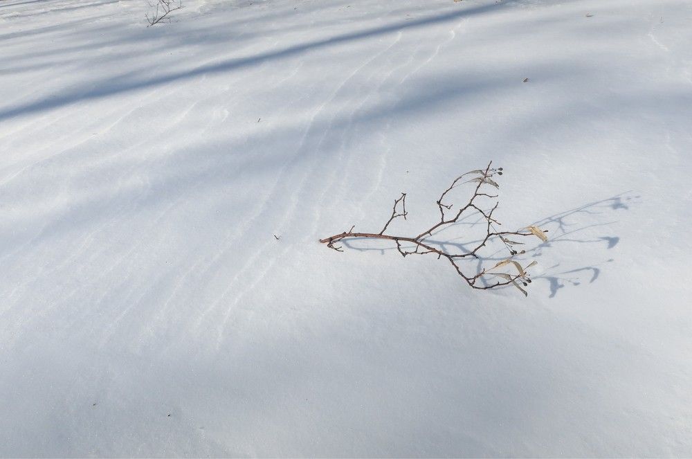 Рисунки на снегу