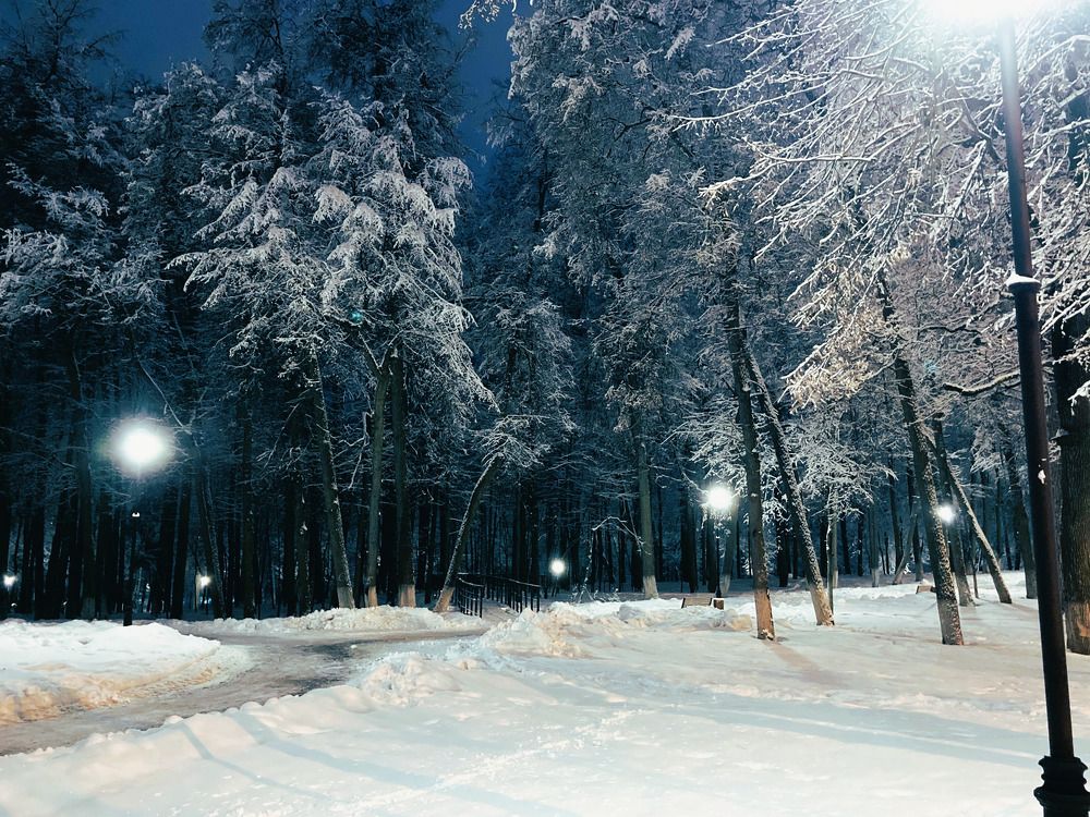 Фотография автора Сергей Демидов