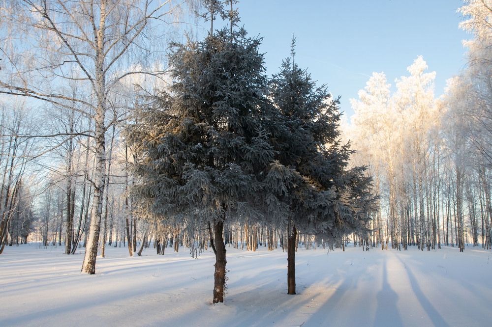 Photograph by Вера Почкалина