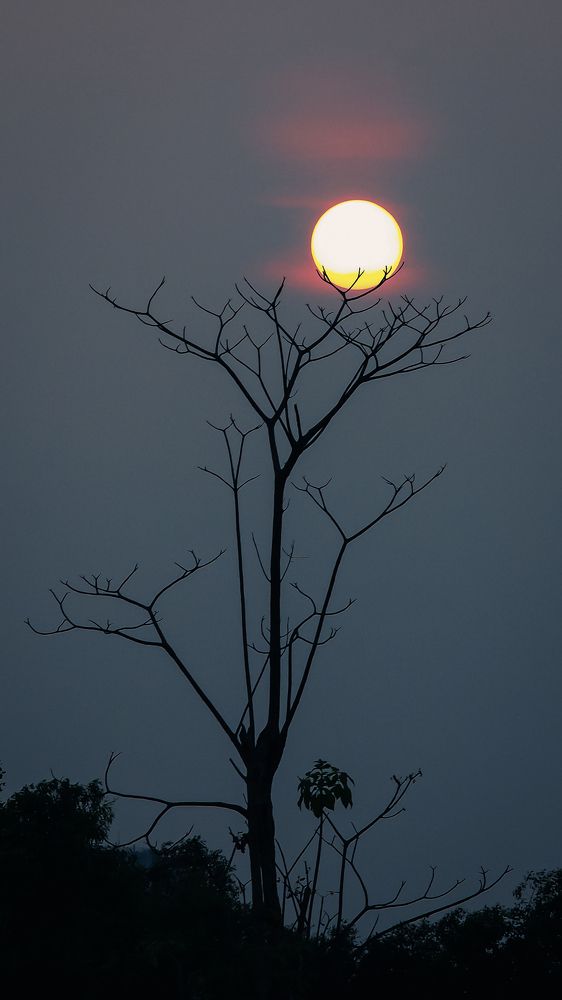 Photograph by Chau Nguyen