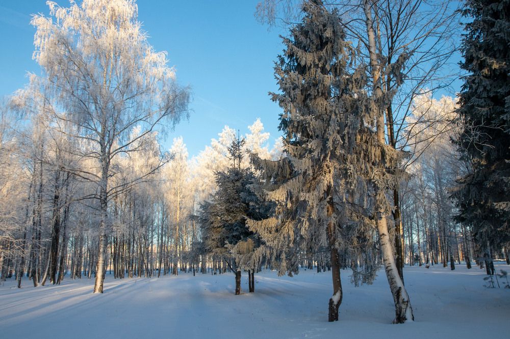 Photograph by Вера Почкалина