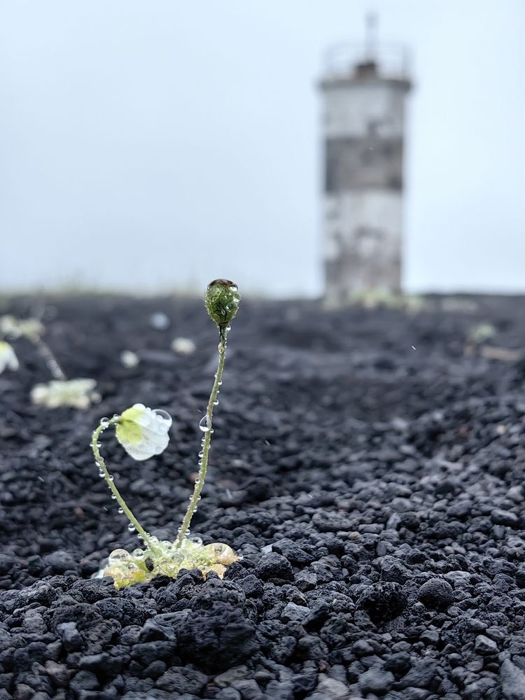 Photograph by Екатерина Исаева