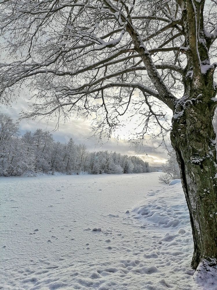 Photograph by Ирина Ермакович