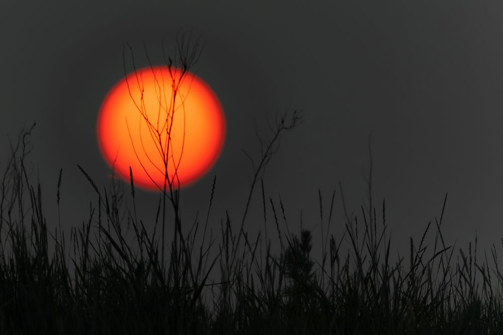 Photograph by Alexey Nikitin