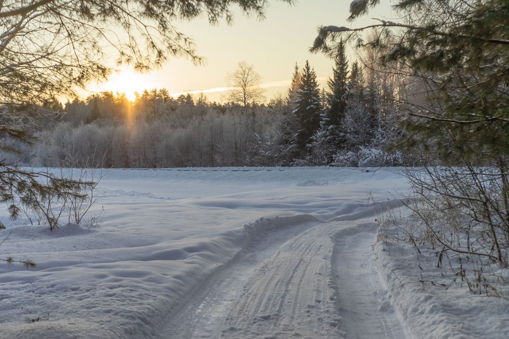 Фотография автора Рыболов Андрей