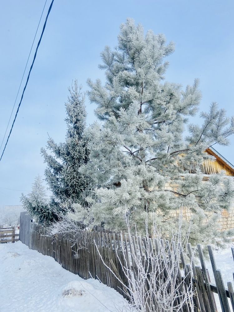 Photograph by Наталья Душакова