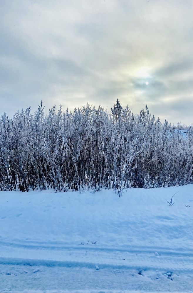 Photograph by Наталья Душакова