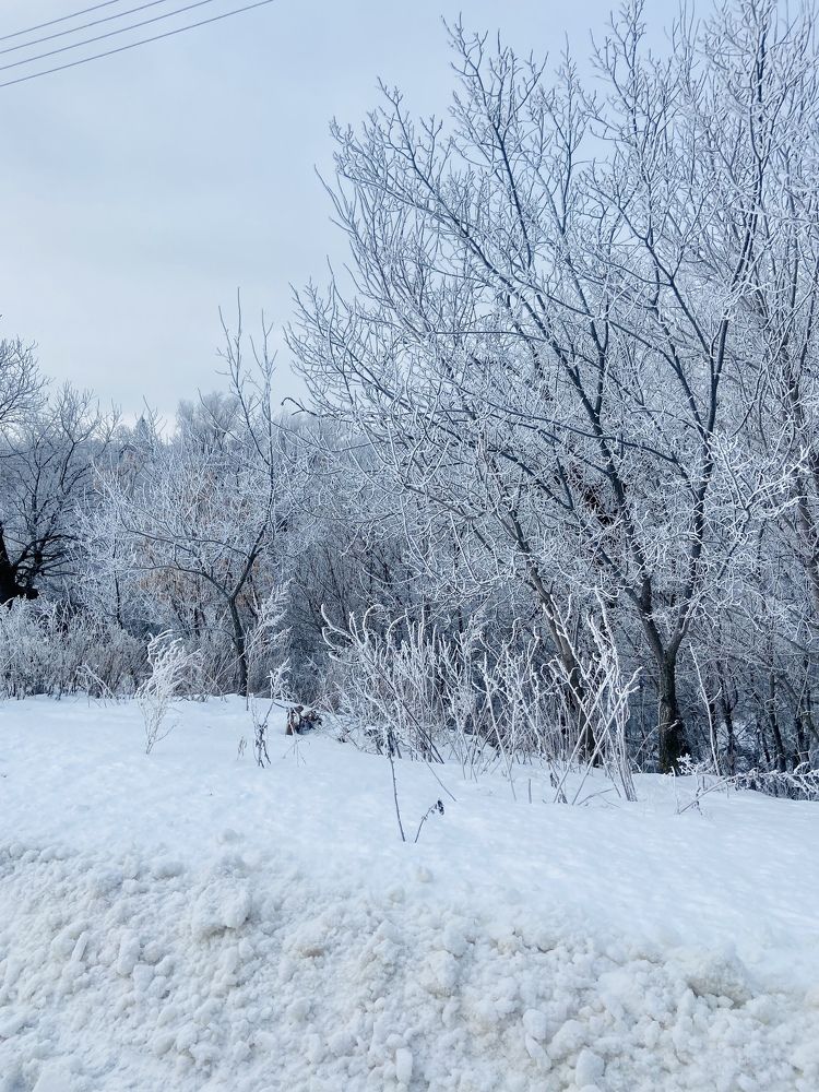 Photograph by Наталья Душакова