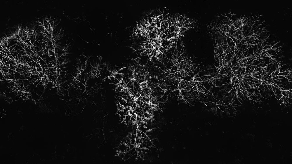 Photograph by Phu Phan Lap