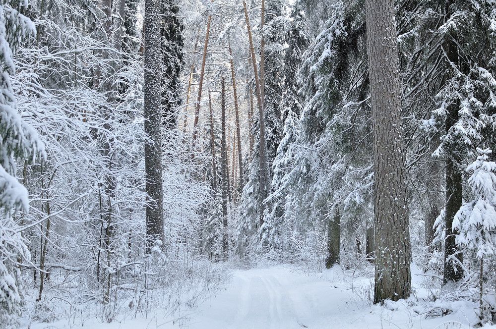 Photograph by Андрей Пляскин