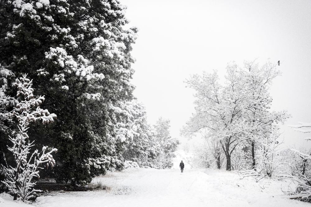 Photograph by محمودرضا نورایی