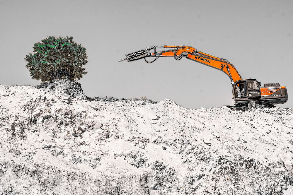 Photograph by Farid Azadi