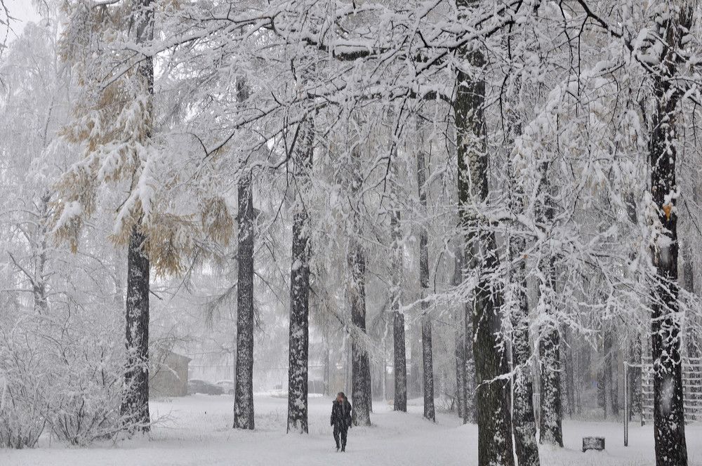 Photograph by Андрей Пляскин