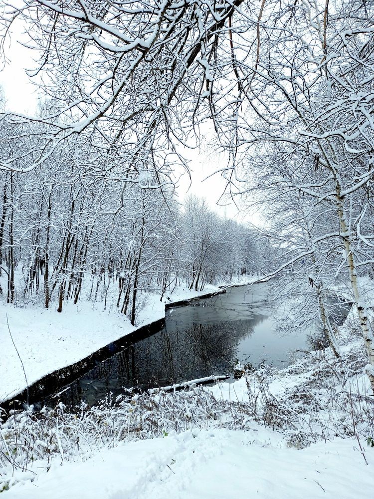 Photograph by Ольга Юрченко