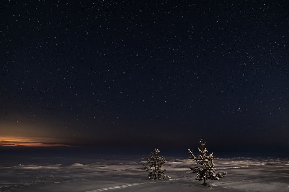 Photograph by Игорь Семеновский