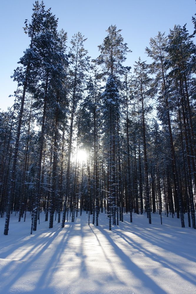 Photograph by Игорь Семеновский