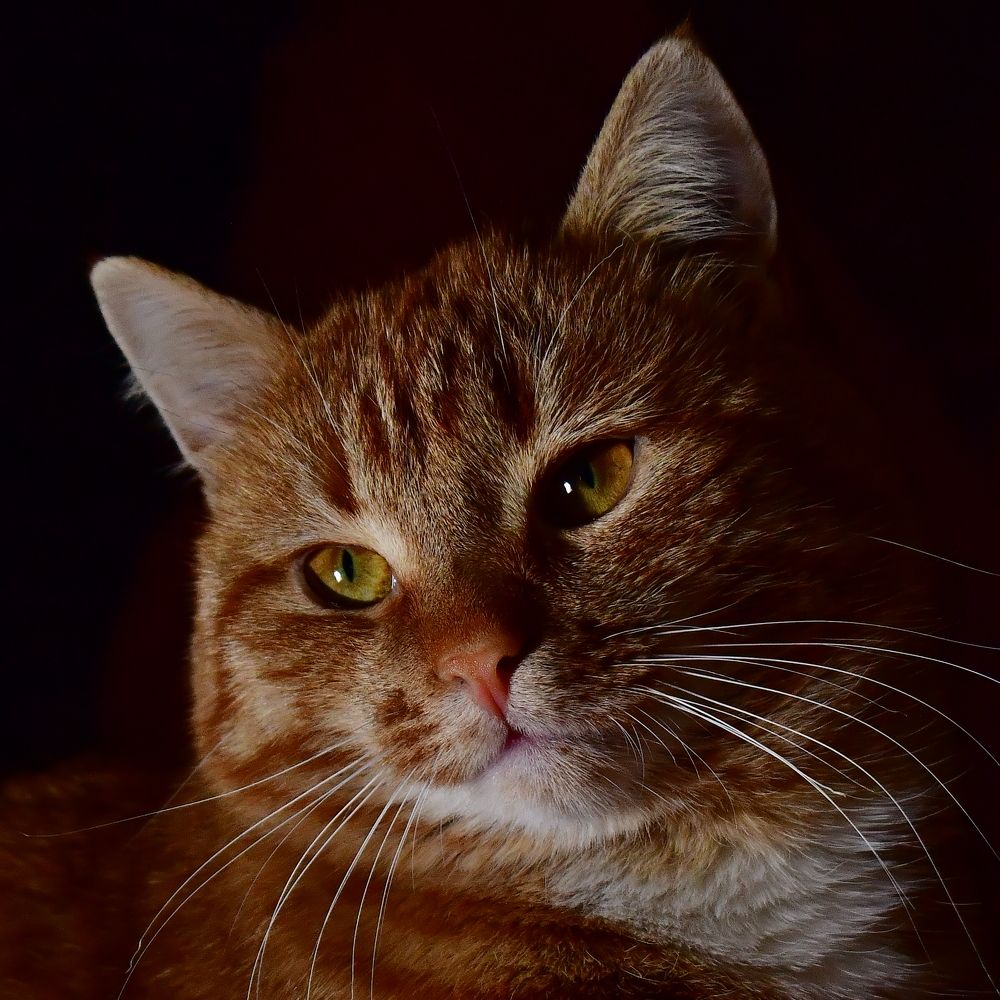 Photograph by Николай Абакумов