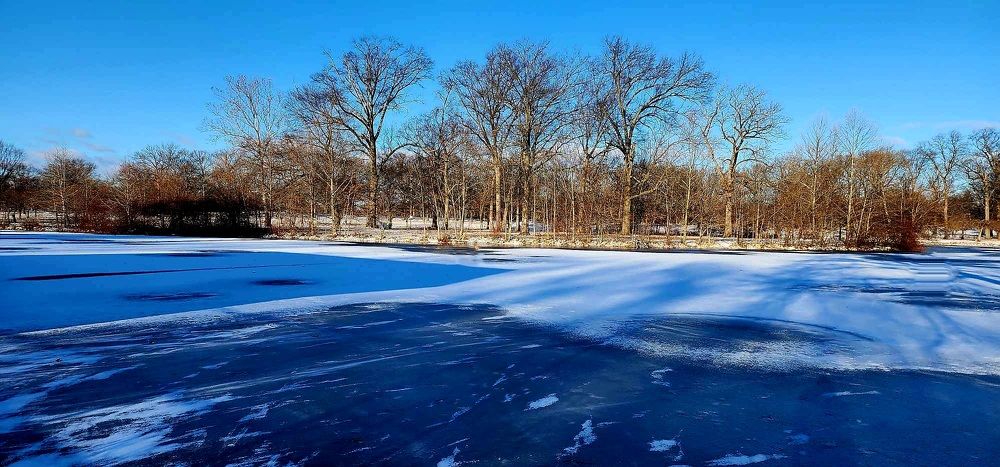 Фотография автора Adriana Rocha