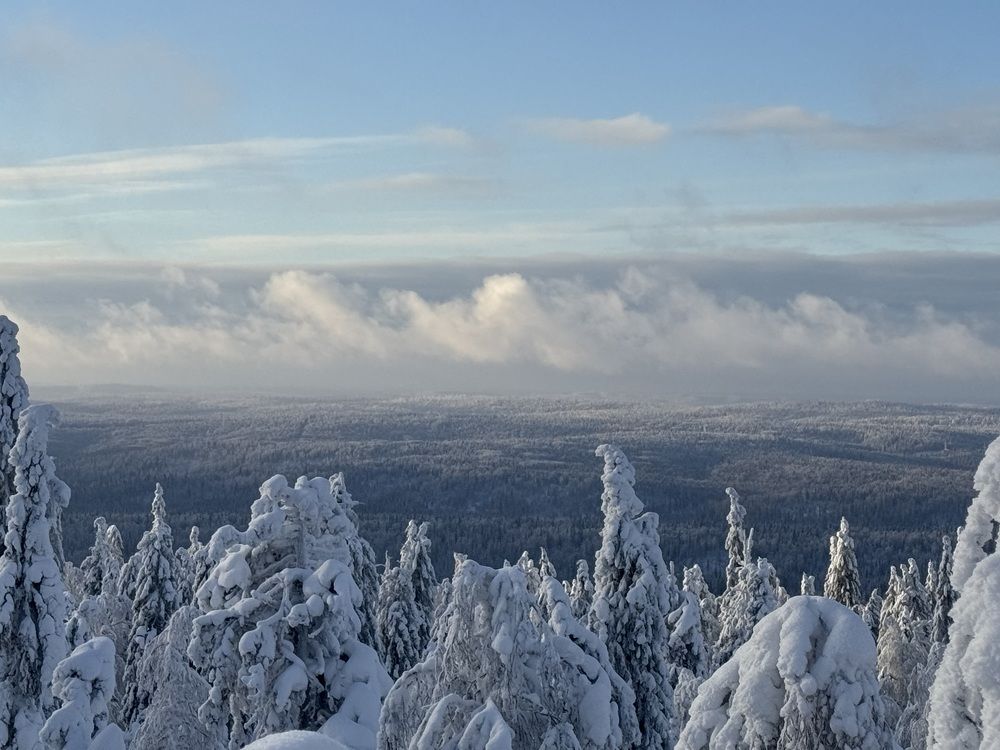 Photograph by Елена Карпухно