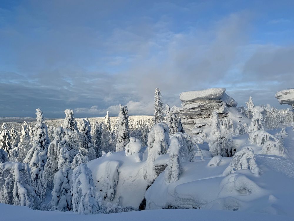 Photograph by Елена Карпухно