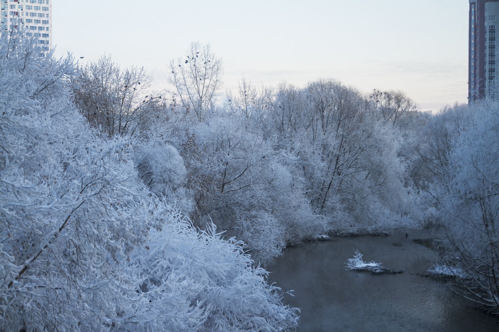 Фотография автора Анастасия Додрова