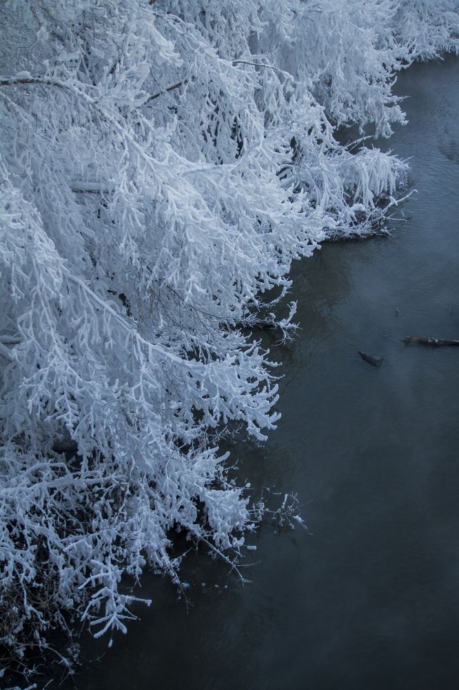 Фотография автора Анастасия Додрова