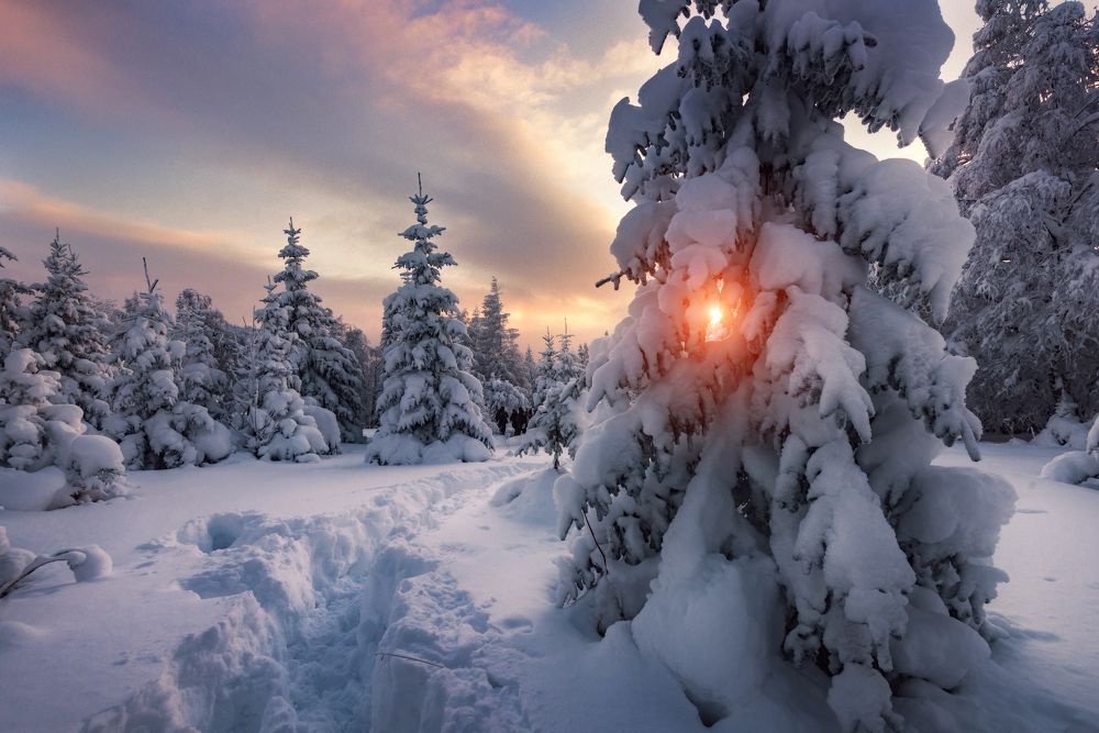 Photograph by Соколова Елена