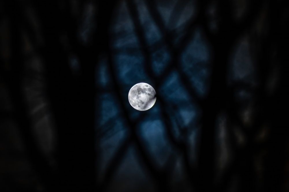 Photograph by Хабаров Сергей