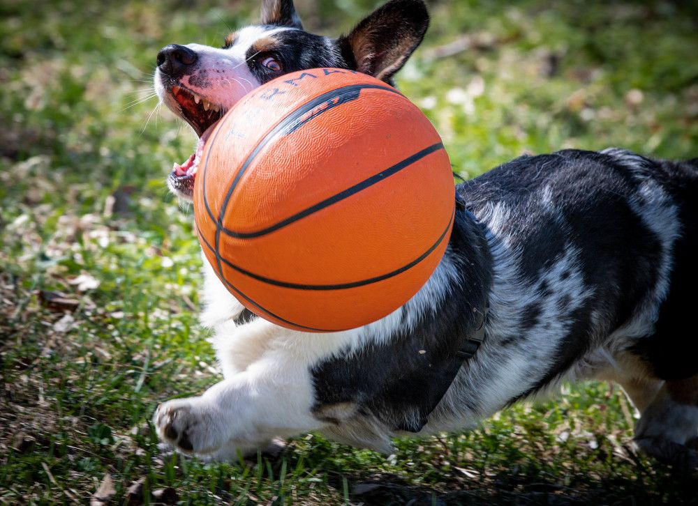 Photograph by Сергей Вальков