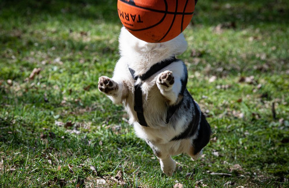 Photograph by Сергей Вальков