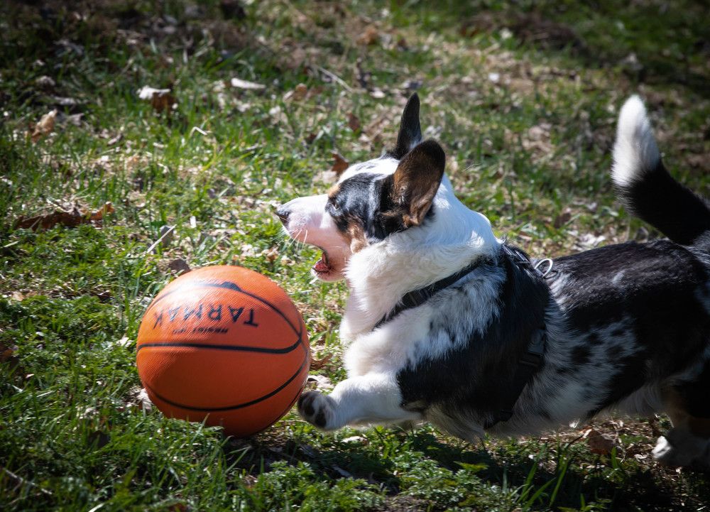 Photograph by Сергей Вальков