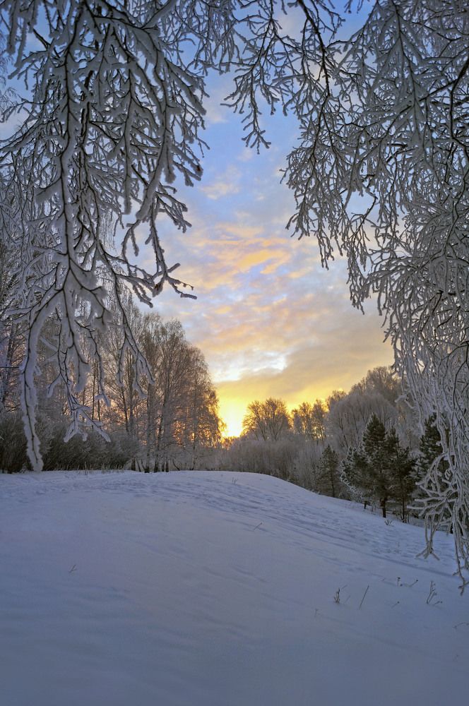 Photograph by Мишустина Татьяна