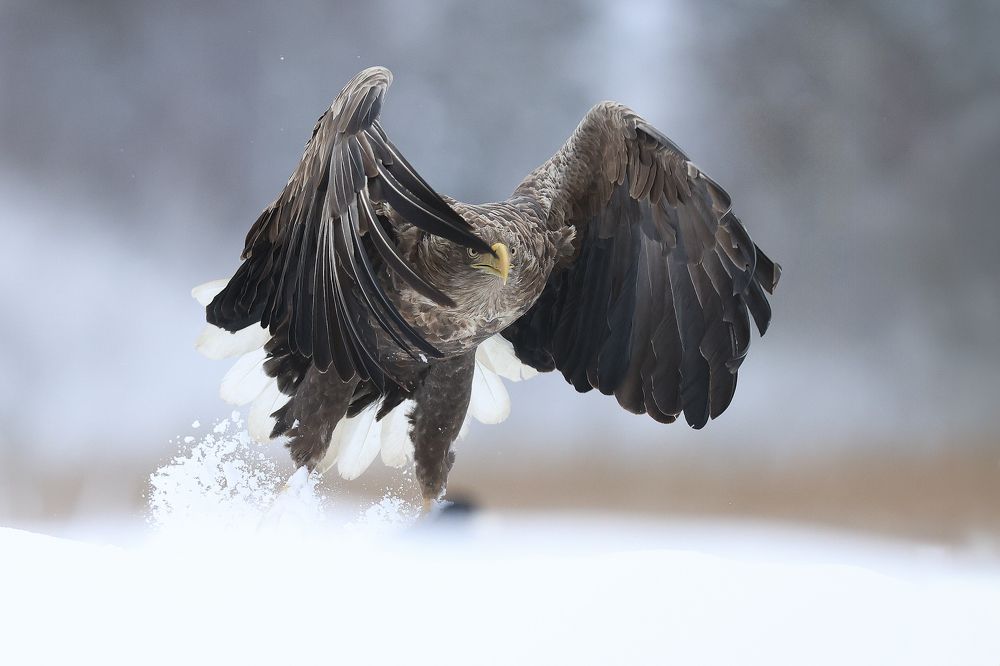 Photograph by Marcin Parzybut