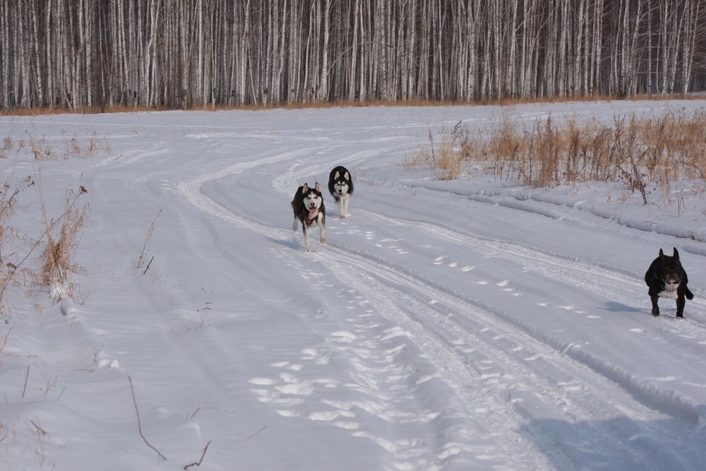 Фотография автора Nelya  Lysenko