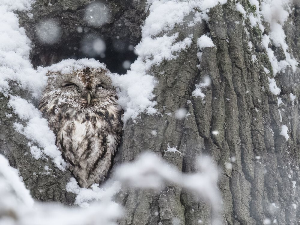 Photograph by Tímea Ambrus