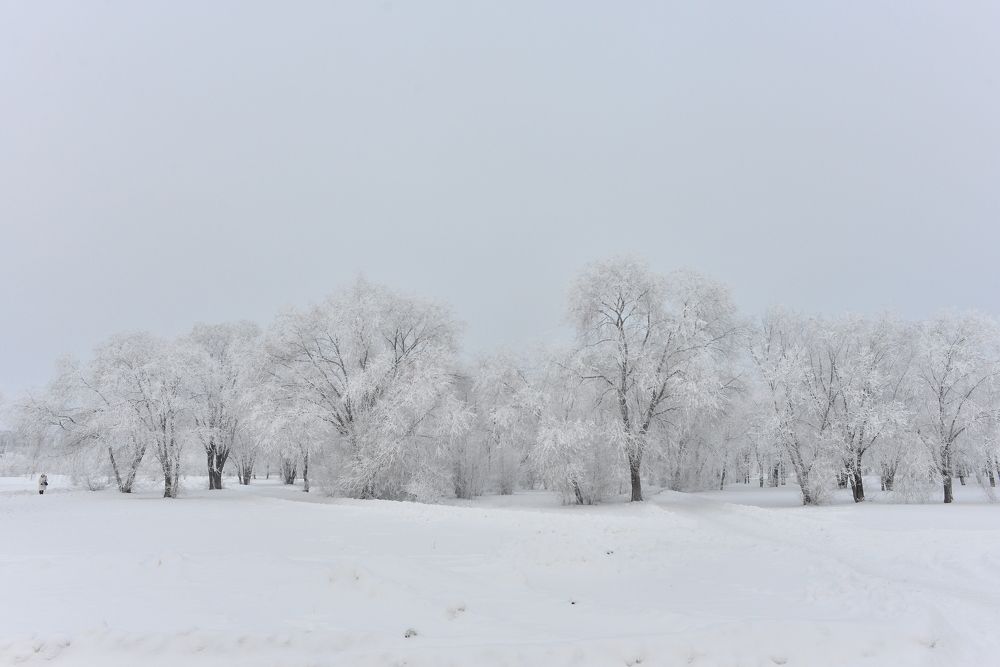 Photograph by Алексей Volg