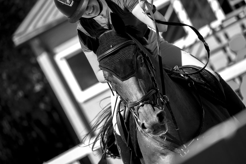 Photograph by Нетычаева Елизавета