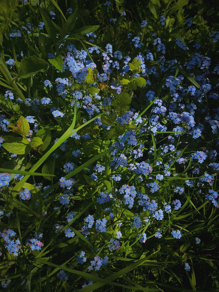 Photograph by Екатерина Свиридова
